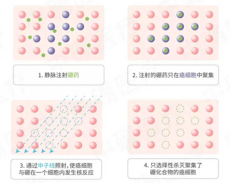 硼中子俘获治疗的药物